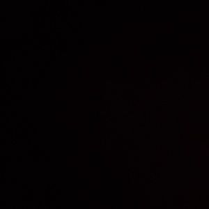 Meet your Posher, Cole